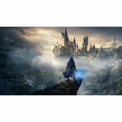 Warner Bros Hogwarts Legacy Standard Chinois simplifié, Chinois traditionnel, Anglais, Japonais PlayStation 4