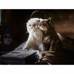 Warner Home Video Cats & Dogs Blu-ray Anglais