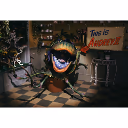 Warner Home Video Little Shop of Horrors Blu-ray Anglais