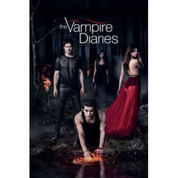 Warner Home Video The Vampire Diaries: Season 5 Blu-ray Anglais