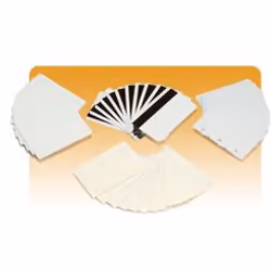 Zebra Premier PVC Card (500 Pack)