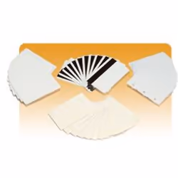 Zebra Premier Plus PVC Composite Cards, 500 pièce(s)