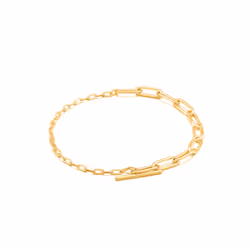 Ania Haie B021-02G, Bracelet à mailles, Femelle, Argent sterling