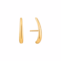 BOUCLES D'OREILLES ANIA HAIE E024-05G