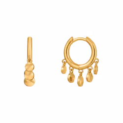 BOUCLES D'OREILLES ANIA HAIE E023-03G