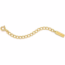BRACELET ANIA HAIE B025-02G