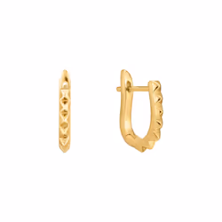 BOUCLES D'OREILLES ANIA HAIE E025-07G