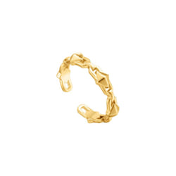 ANNEAU ANIA HAIE R025-02G