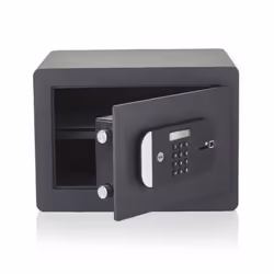 Yale YSFM/250/EG1