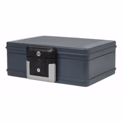 Yale YFWC/155/KB1, Coffre-fort portable, Gris, 2 clés, 6,9 L, Plastique, 400 mm
