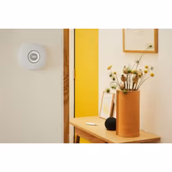 Yale Indoor Siren Sirène sans fil Intérieure Gris, Blanc - Vue supplémentaire 4