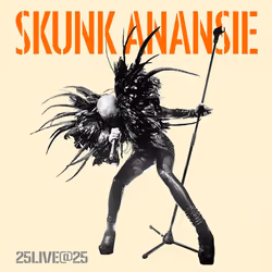 ImportCDs 25Live@25, Pop rock, CD, Support physique, Adulte, 2 disques, 25/01/2019