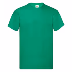 Fruit Of The Loom  - T-shirt manches courtes - Homme (Vert)