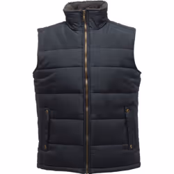 Regatta Altoona - Veste sans manches - Homme (Bleu marine)