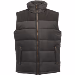 Regatta Altoona - Veste sans manches - Homme (Gris/Noir)