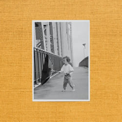 ImportCDs Wallflower Vinyl R&B