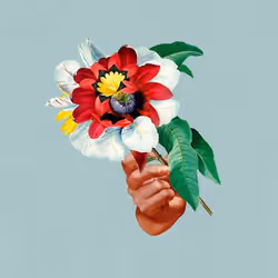 ImportCDs Kingdoms in Colour, Danse, Vinyl, Support physique, Adulte, 1 disques, 06/09/2018