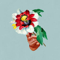 ImportCDs Kingdoms in Colour CD Danse