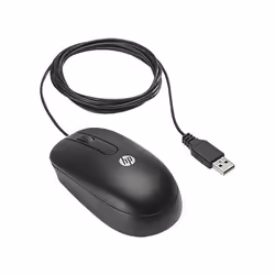 HP USB Optical Scroll Mouse, Ambidextre, Optique, USB Type-A, 800 DPI, Noir