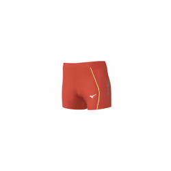 Short femme premium Mizuno JPN tight