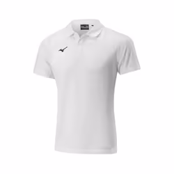 Polo Mizuno Shizuoka