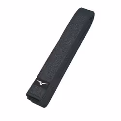 Ceinture de judo Mizuno IJF RB