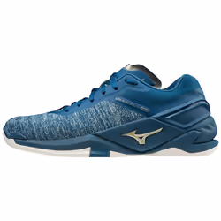 Chaussures de handball Mizuno Wave Stealth Neo