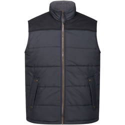 Regatta - Veste ALTOONA - Hommes (Gris/Noir)