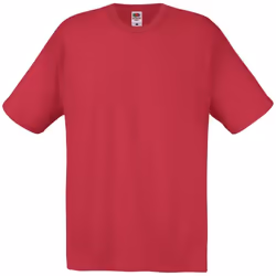 Fruit of the Loom - T-shirt ORIGINAL - Homme (Rouge brique)