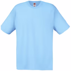 Fruit of the Loom - T-shirt ORIGINAL - Homme (Bleu ciel)