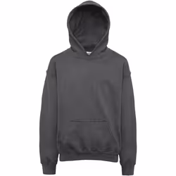 Gildan - Sweat à capuche - Unisexe (Gris chiné)