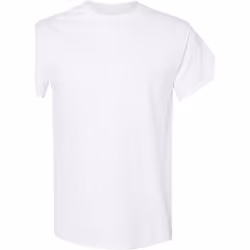 Gildan - T-shirt - Homme (Blanc)