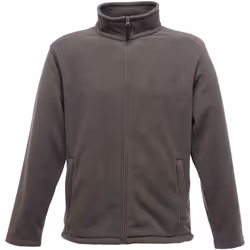 Regatta Thor 300 - Veste polaire - Homme (Gris)