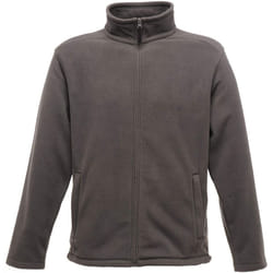 Regatta Thor 300 - Veste polaire - Homme (Gris)