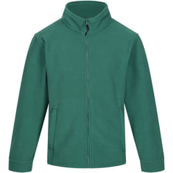 Regatta Thor 300 - Veste polaire - Homme (Vert bouteille)