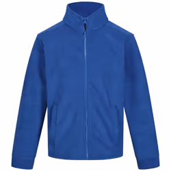 Regatta Thor 300 - Veste polaire - Homme (Bleu roi)