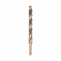 DeWALT DT20617-QZ foret Embout de perçage à spirales 1 pièce(s)