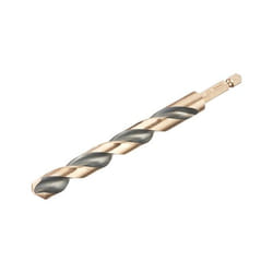 DeWALT DT20619-QZ foret Embout de perçage à spirales 1 pièce(s)