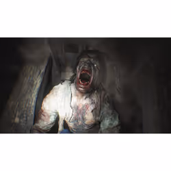 Capcom Resident Evil Village Standard PlayStation 4 - Vue supplémentaire 24