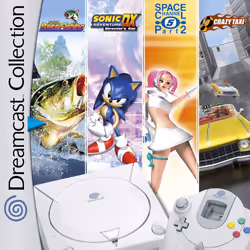 SEGA Dreamcast Collection, PC, Support physique