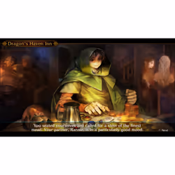 Atlus Dragon's Crown Pro Standard Allemand, Anglais, Espagnol, Français, Italien PlayStation 4 - Vue supplémentaire 8