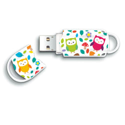 Integral 16GB USB2.0 DRIVE XPRESSION OWLS lecteur USB flash 16 Go USB Type-A 2.0 Multicolore
