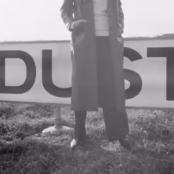 ImportCDs Dust, Danse, Vinyl, Support physique, Adulte, 1 disques, 22/06/2017