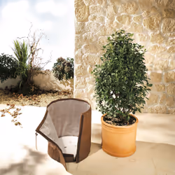 Bio Green VOILE HIVERNAGE POUR POT
