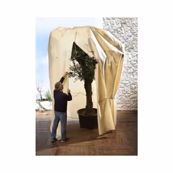 Bio Green VS 360-250 film de protection des plantes Beige Toison 100 g/m²