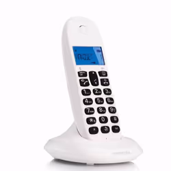 Motorola C1001