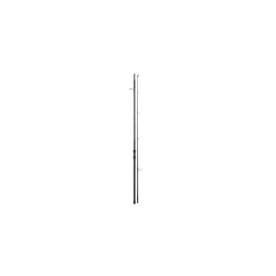 Canne spinning Daiwa Emblem Carp - noir - 305 m