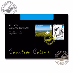 Blake Creative Colour 45310 enveloppe C5 (162 x 229 mm) Bleu