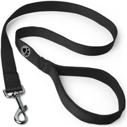 Laisse pour Chien avec Poignée Rembourrée Souple - Noir - 180cm - iGadgitz Home