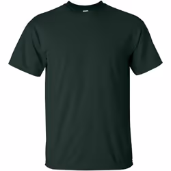 Gildan - T-shirt à manches courtes - Homme (Vert forêt)